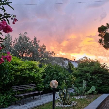 Bed and Breakfast San Casciano Narni Zewnętrze zdjęcie