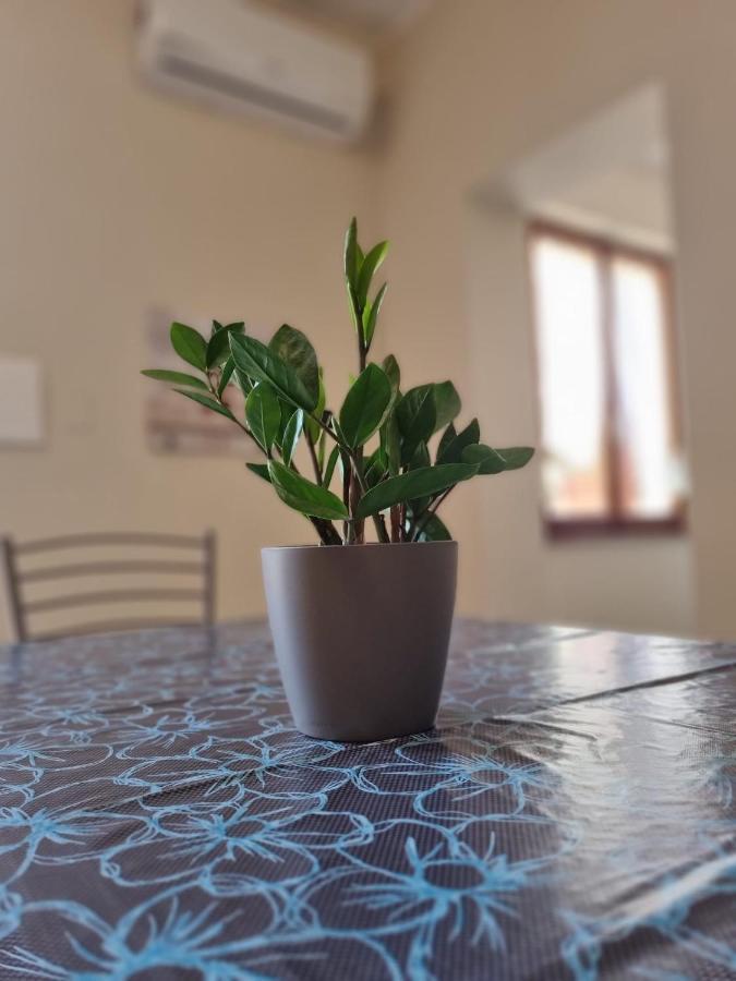 Bed and Breakfast San Casciano Narni Zewnętrze zdjęcie